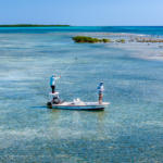 La pêche à la mouche à l'atoll de Turneffe