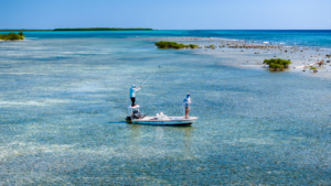 La pêche à la mouche à l'atoll de Turneffe