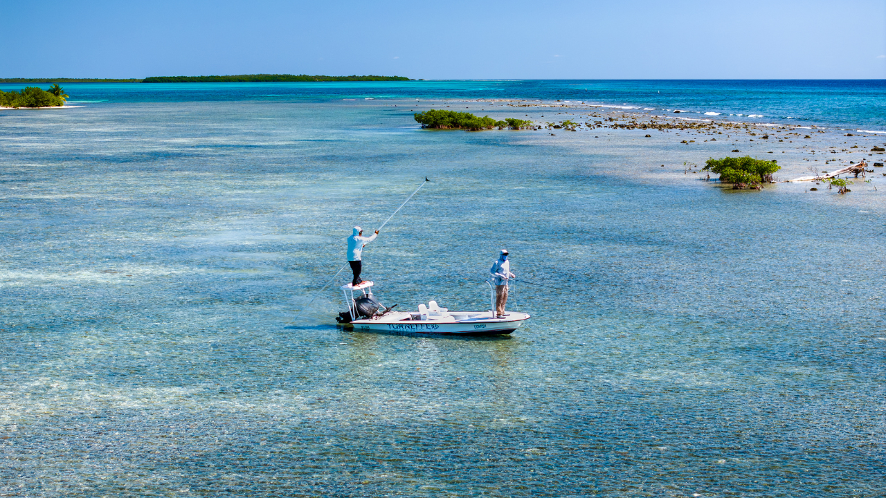 La pêche à la mouche à l'atoll de Turneffe